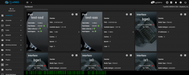 Screenshot 2023-06-06 at 09-13-17 TrueNAS - 192.168.100.123.png