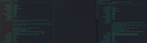 smb_bug.png.png