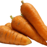 Letigid