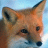 Da Fox