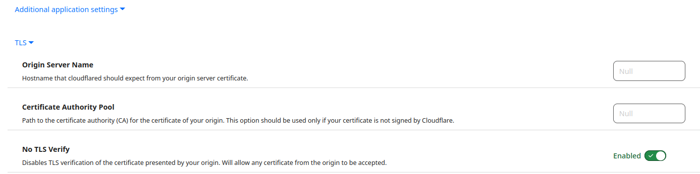 Cloudflare Tunnel TLS Setting