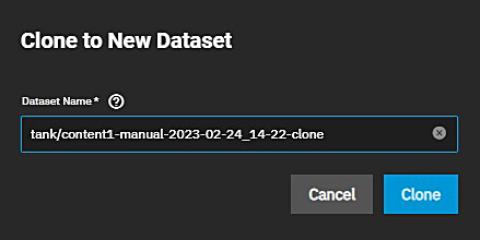 StorageSnapshotCloneNewDatasetSCALE