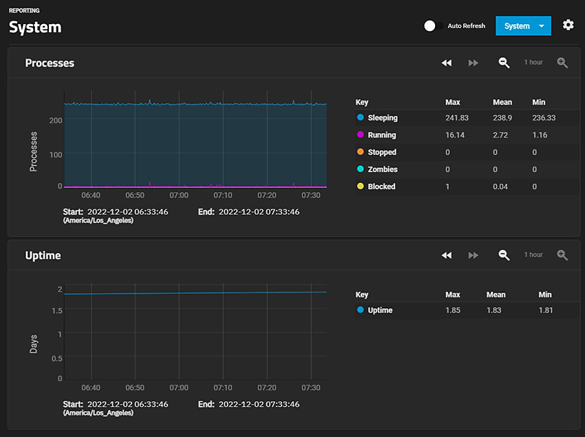 SystemReportingProcessUptime