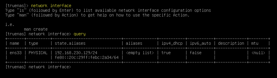 TrueNASCLInetworkinterfacequery