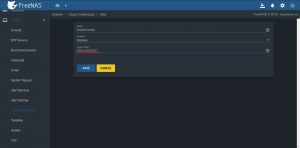 Input Access Token