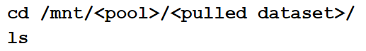 built-in Shell Terminal to verify