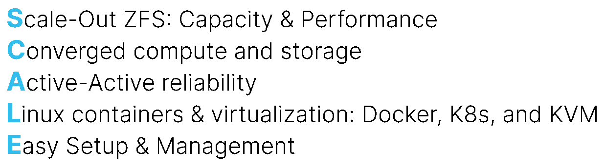 TrueNAS SCALE Acronym