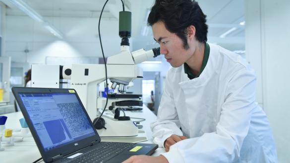Research careers at Cambridge University
