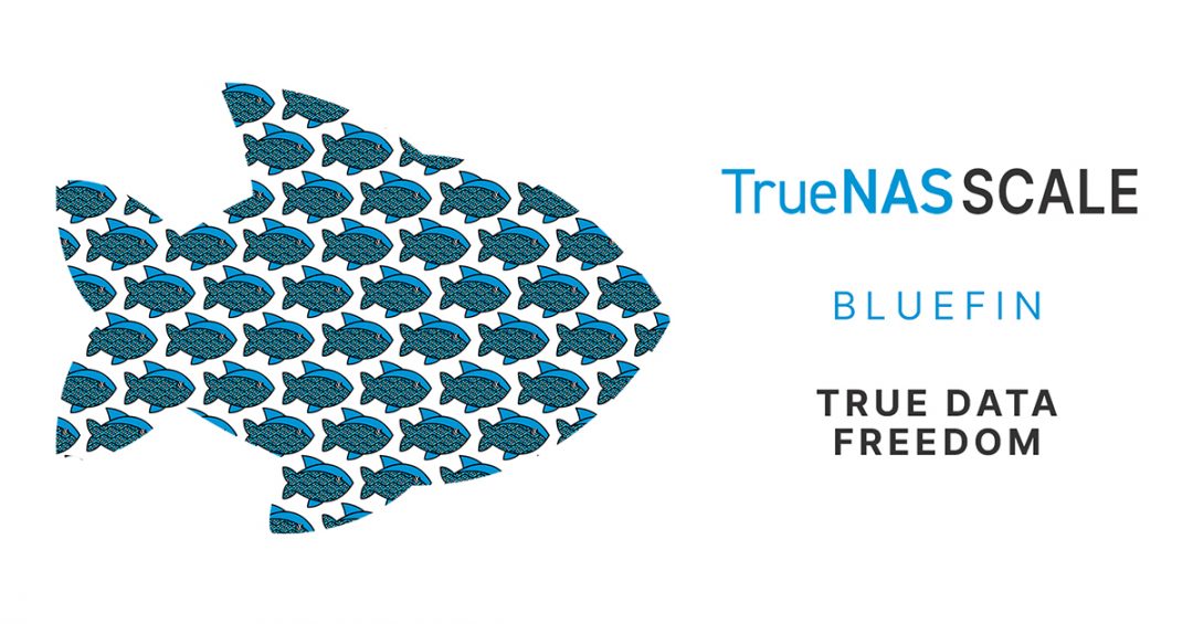 TrueNAS SCALE Bluefin is RELEASED into the Wild