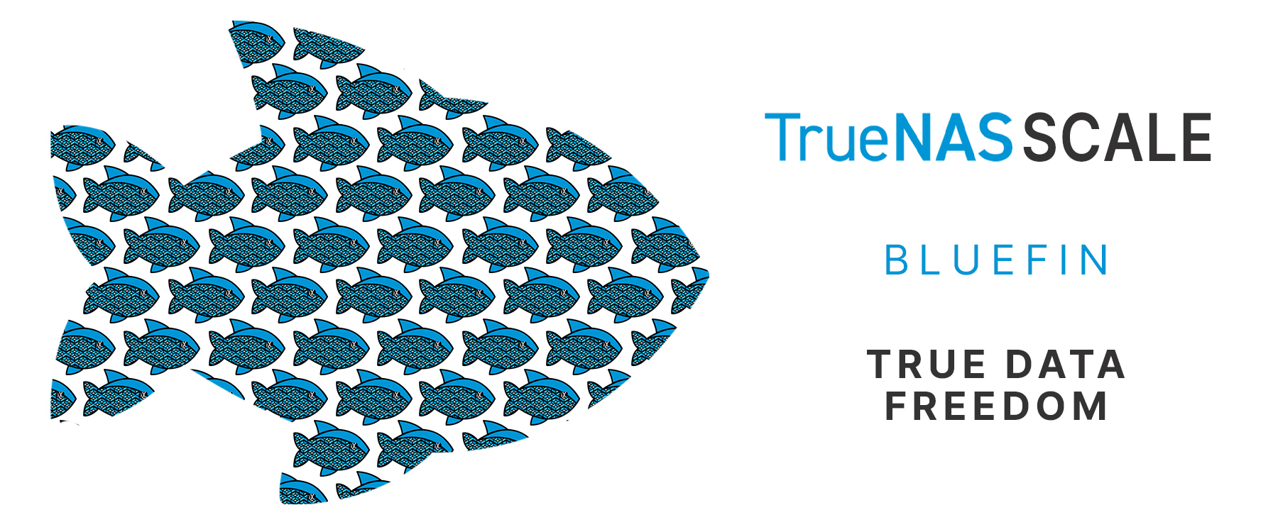 TrueNAS SCALE Bluefin logo