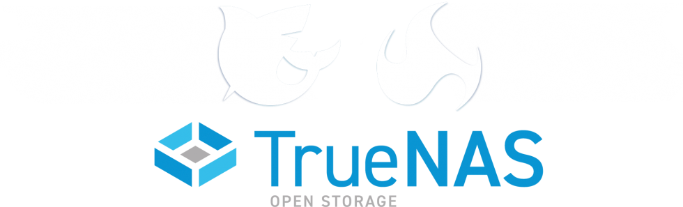 FREENAS IS NOW TRUENAS COMMUNITY EDITION visual data 2