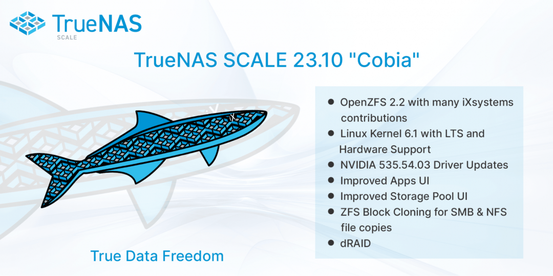 TrueNAS SCALE 23.10-RC.1 Introduces dRAID