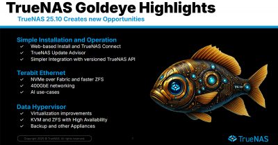 TrueNAS 25.10 “Goldeye” BETA is available