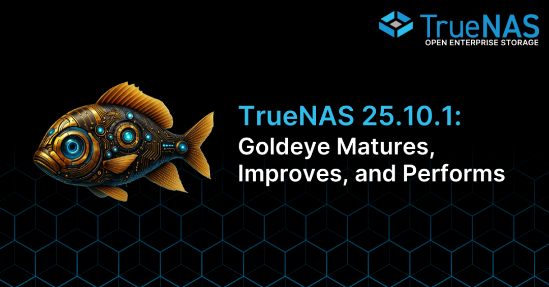 TrueNAS 25.10.1: Goldeye Matures, Performs, and Connects