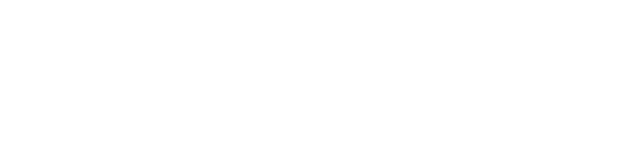 TrueNAS Enterprise Logo White