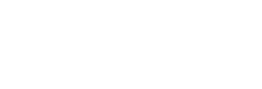 TrueNAS Enterprise Logo White