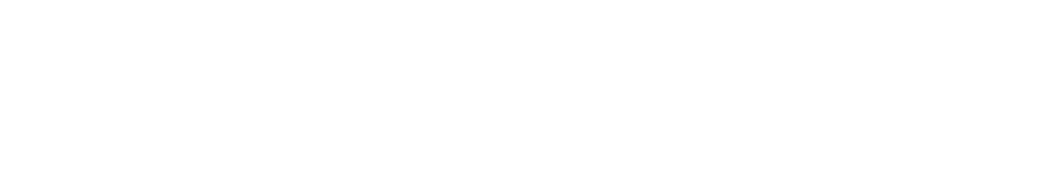 TrueNAS Logo White