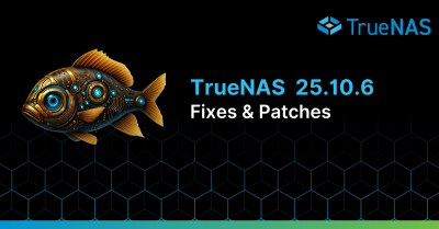 TrueNAS 25.10.6: Resolving a Truckload of CVEs
